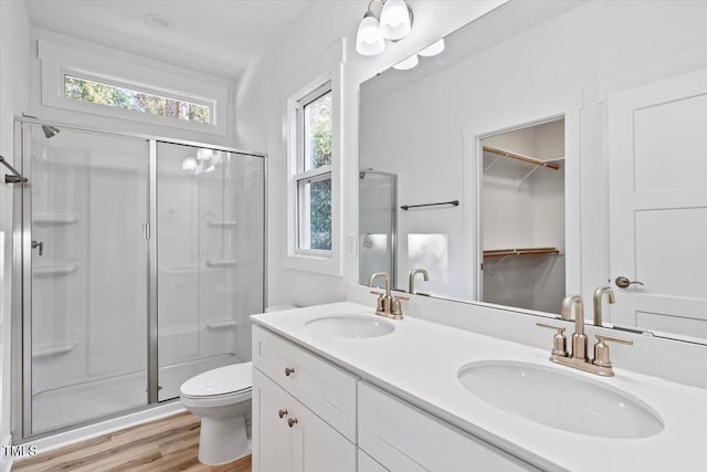 bathroom with a shower with door, vanity, a healthy amount of sunlight, and toilet