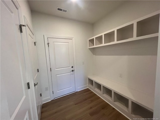 mudroom featuring dark wood-type flooring