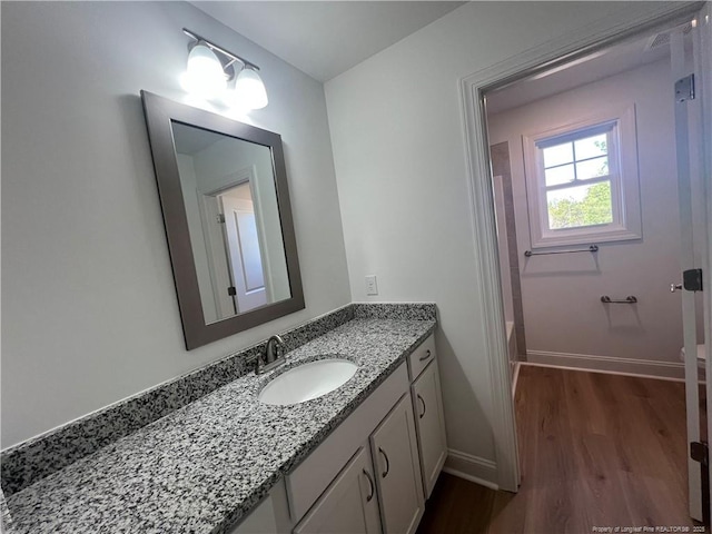 bathroom with wood-type flooring and vanity