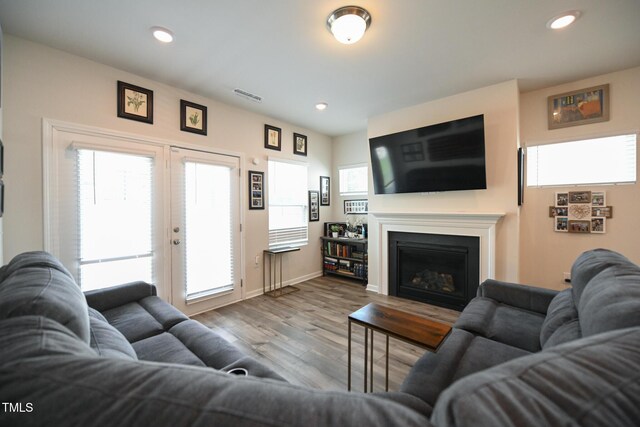 living room featuring hardwood / wood-style floors and a healthy amount of sunlight