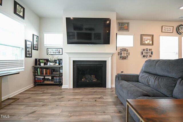 living room with hardwood / wood-style floors