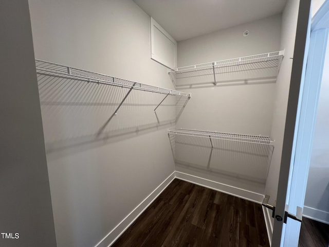 walk in closet with dark wood-type flooring