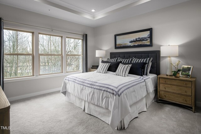 carpeted bedroom with multiple windows and a raised ceiling