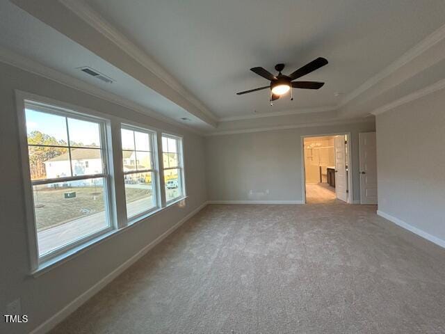 spare room featuring a tray ceiling, a wealth of natural light, carpet, and ornamental molding