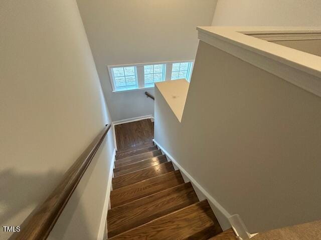 staircase featuring wood-type flooring