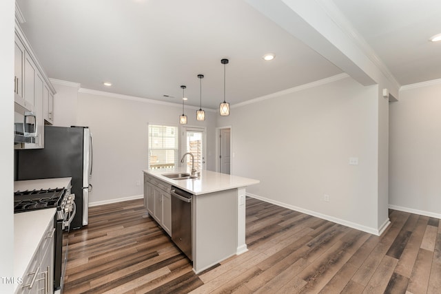 kitchen featuring appliances with stainless steel finishes, sink, dark hardwood / wood-style flooring, and an island with sink