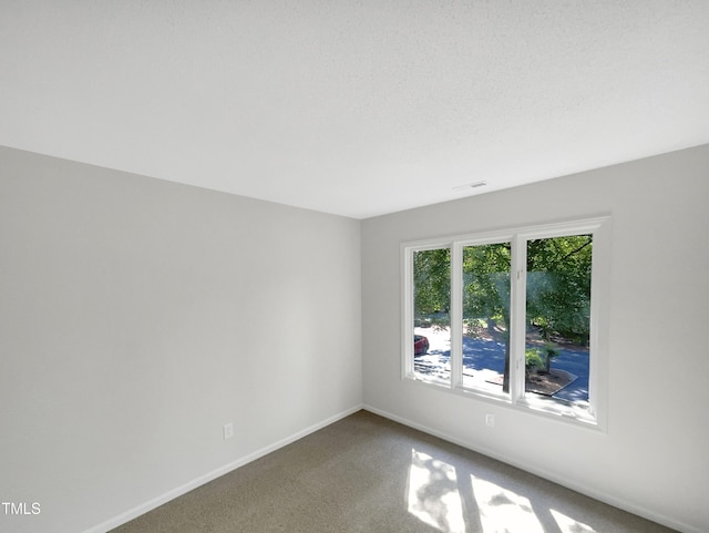 spare room featuring carpet and a textured ceiling