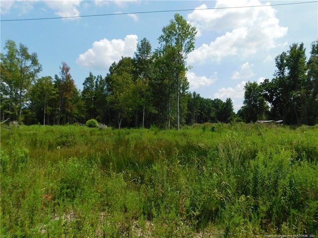 Listing photo 3 for LOT31 Aberdeen Dr, Lumberton NC 28358