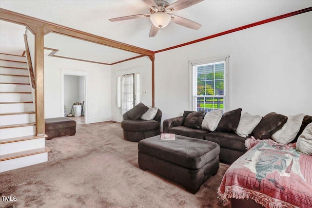 living room featuring a textured ceiling, carpet flooring, ceiling fan, and crown molding