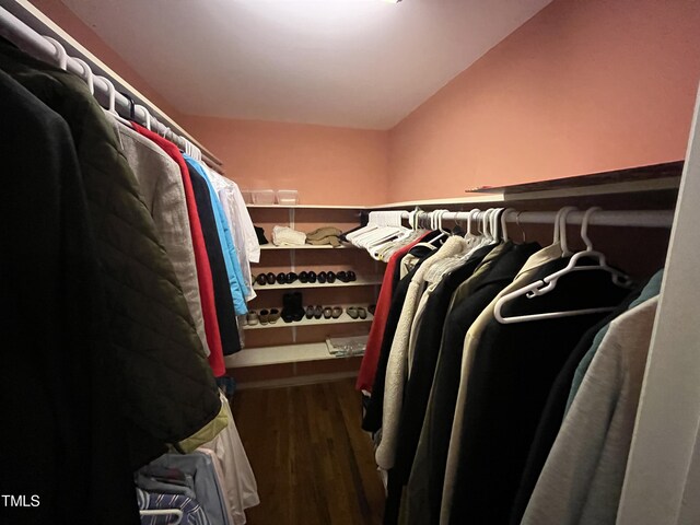 walk in closet featuring dark wood-type flooring