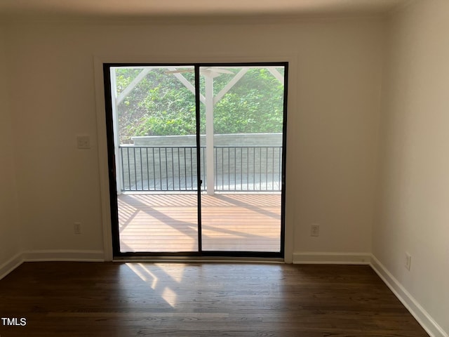 entryway featuring dark hardwood / wood-style flooring