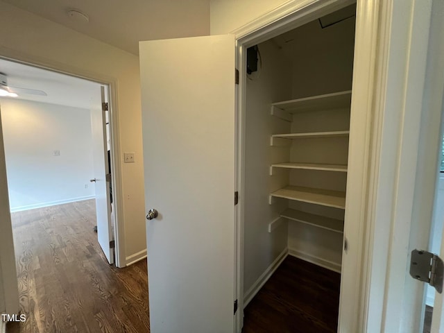 view of closet