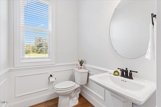 bathroom featuring toilet, wood-type flooring, and sink