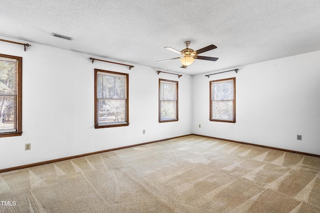 empty room with carpet flooring, a textured ceiling, and a wealth of natural light