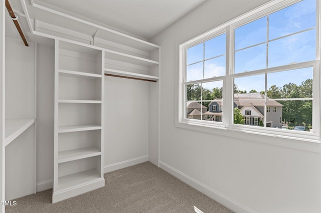 100 N Ridge View Way, Franklinton, NC 27525 - spacious closet with carpet