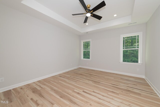 unfurnished room with light hardwood / wood-style flooring, a raised ceiling, and a healthy amount of sunlight