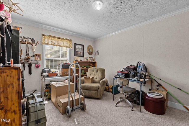 office area with carpet, a textured ceiling, and ornamental molding