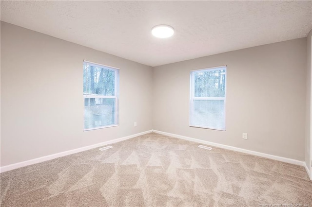 empty room featuring a textured ceiling, light carpet, and a healthy amount of sunlight