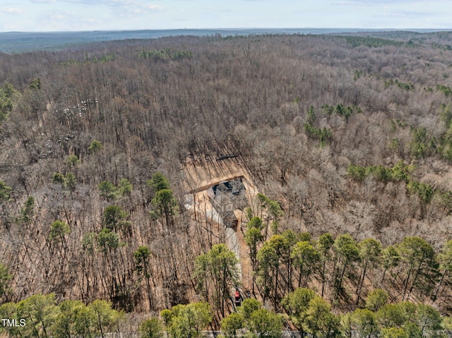 2817 Silk Hope Gum Springs Rd, Pittsboro, NC 27312 - photo 23