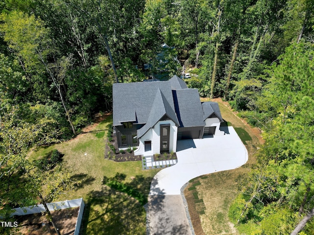 bird's eye view