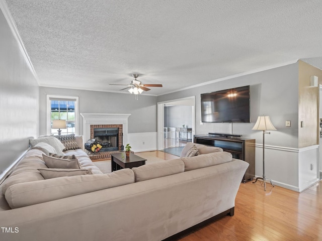 living area with crown molding, wainscoting, a fireplace, light wood-style floors, and a textured ceiling