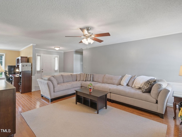 living room featuring ceiling fan, crown molding, light wood-type flooring, and a textured ceiling