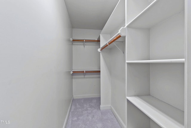 walk in closet with light colored carpet