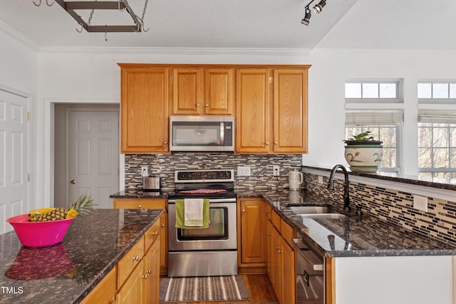 kitchen with decorative backsplash, stainless steel appliances, a sink, and dark stone counters