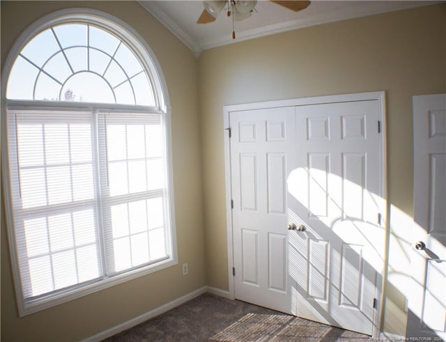 entryway with crown molding, ceiling fan, and dark colored carpet