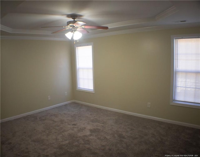 empty room with a raised ceiling, carpet flooring, and a healthy amount of sunlight