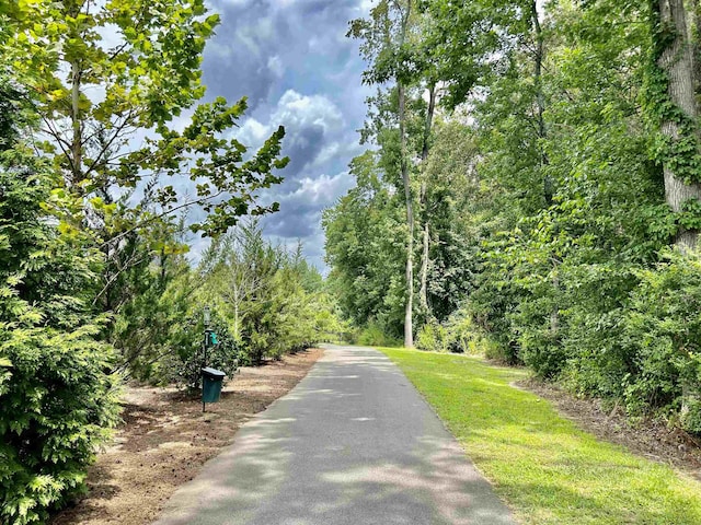 view of road with a wooded view