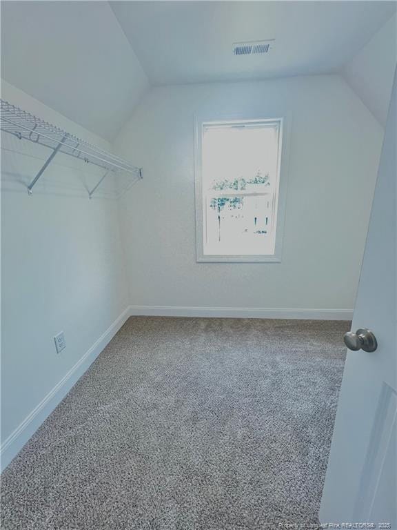 walk in closet featuring carpet and vaulted ceiling