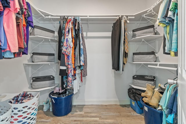 walk in closet featuring wood finished floors