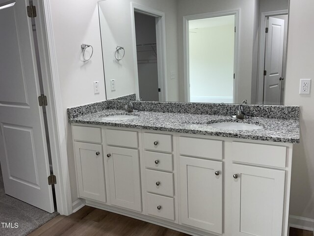 bathroom featuring wood-type flooring and vanity