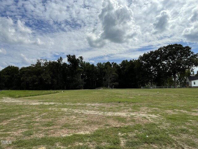 view of yard with a rural view