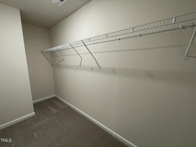 spacious closet with dark colored carpet