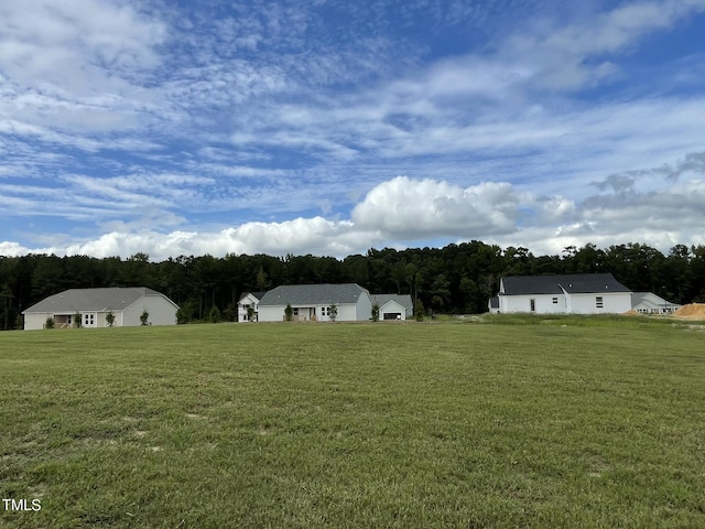 749 Sherrill Farm Dr, Benson, NC 27504 - photo 17