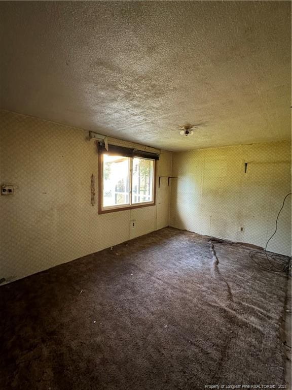 unfurnished room with carpet and a textured ceiling