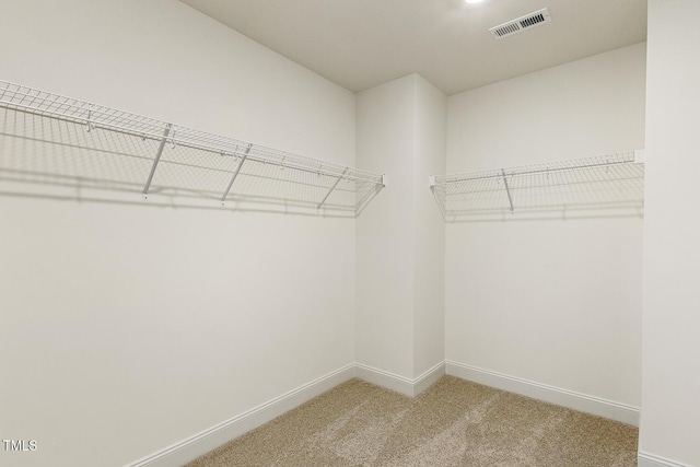 walk in closet featuring carpet