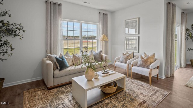 living room featuring hardwood / wood-style floors