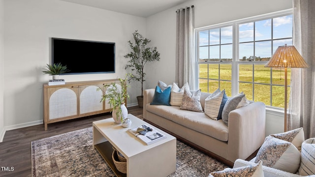 living area featuring baseboards and wood finished floors