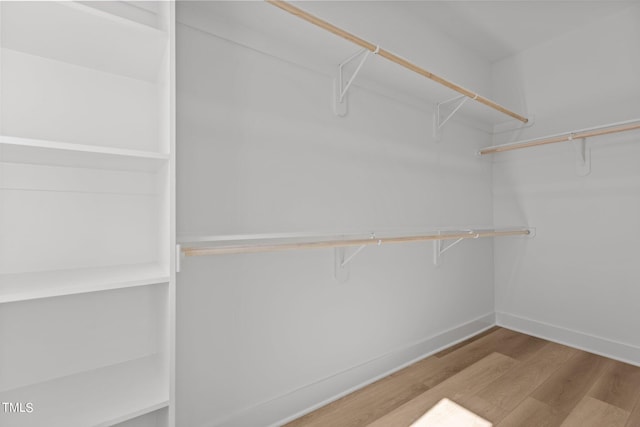 spacious closet with hardwood / wood-style floors