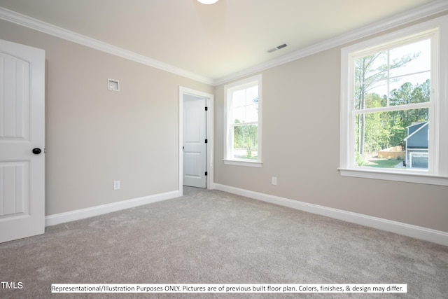 unfurnished room with crown molding and light colored carpet