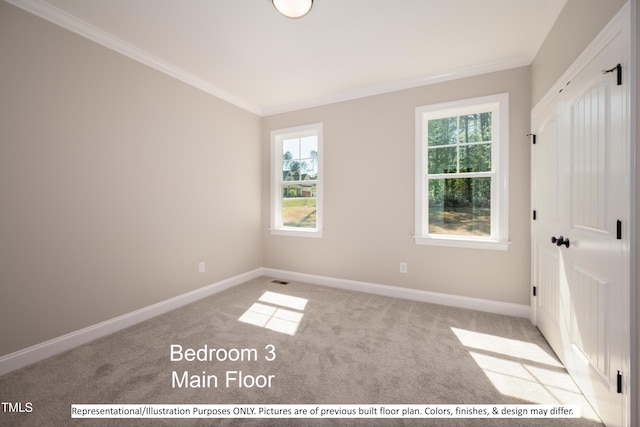 carpeted empty room featuring crown molding and a healthy amount of sunlight