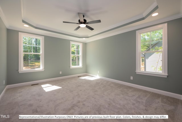 carpeted spare room featuring crown molding, a tray ceiling, and ceiling fan