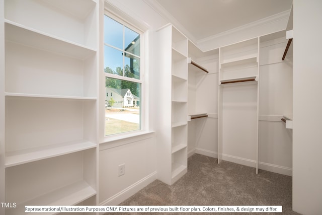 spacious closet featuring dark colored carpet