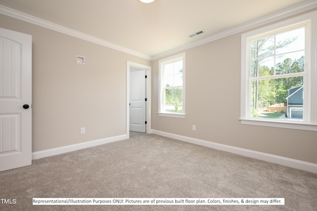 carpeted spare room with crown molding