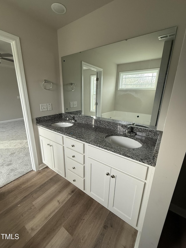 bathroom with hardwood / wood-style flooring and vanity