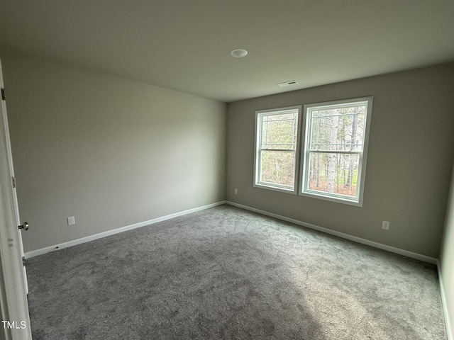 spare room featuring carpet floors