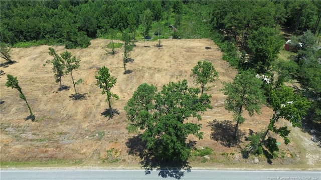 690 Deep Branch Rd, Lumberton NC, 28360 land for sale